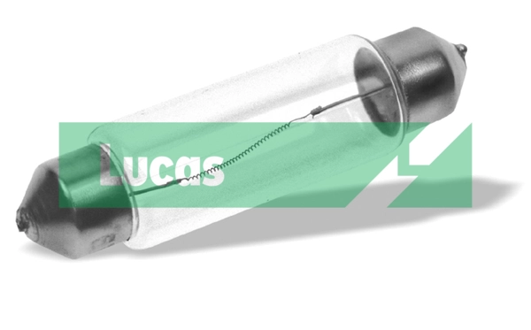 LLB239 Lucas