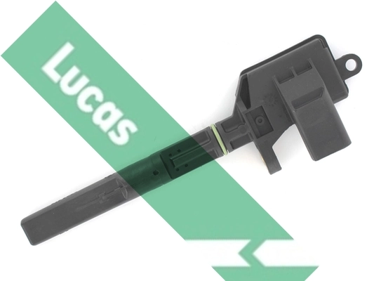 LLS301 Lucas