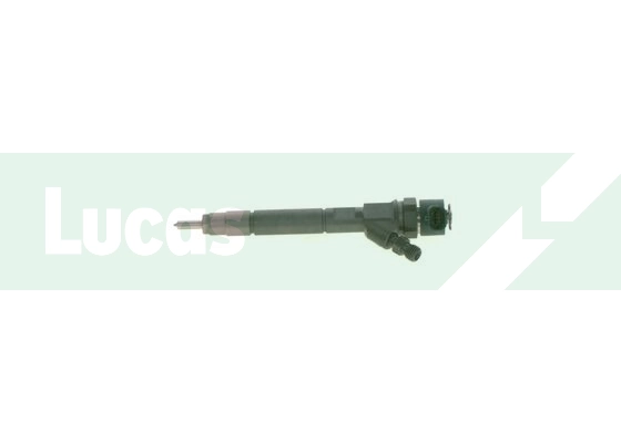 LDFB0096 Lucas