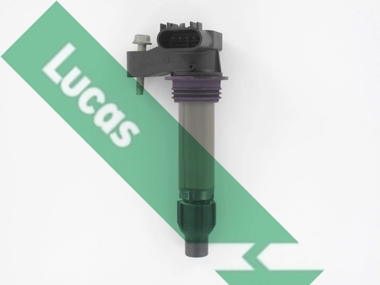 DMB2098 Lucas