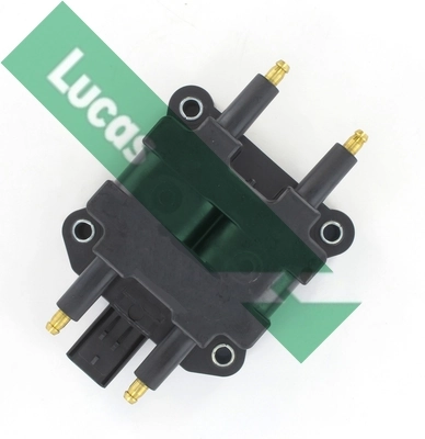 DMB966 Lucas