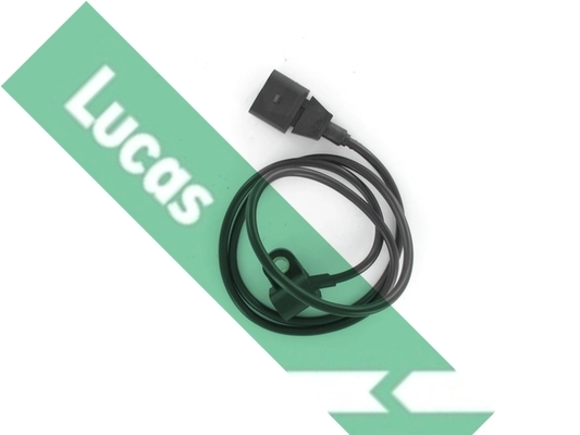 SEB5049 Lucas