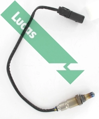LEB5469 Lucas