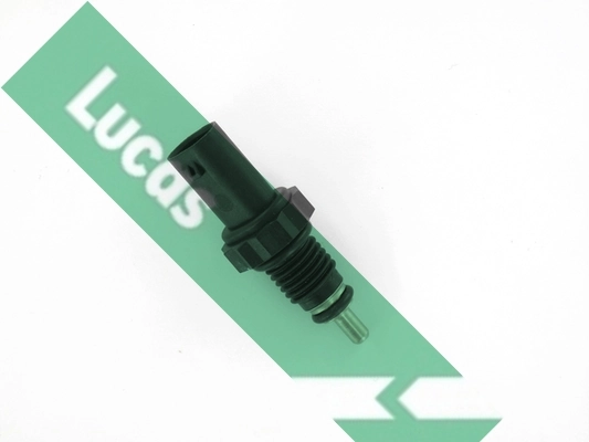 SNB5068 Lucas
