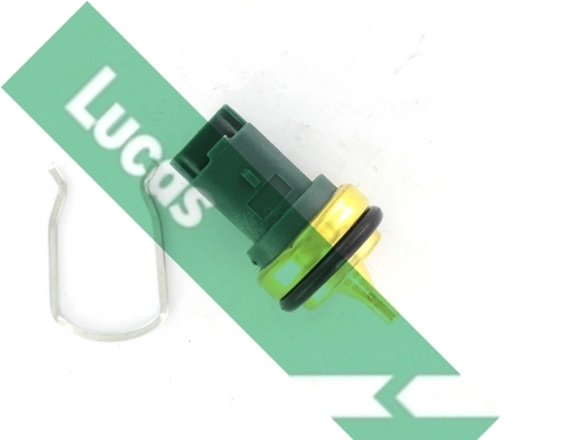 SNB1118 Lucas
