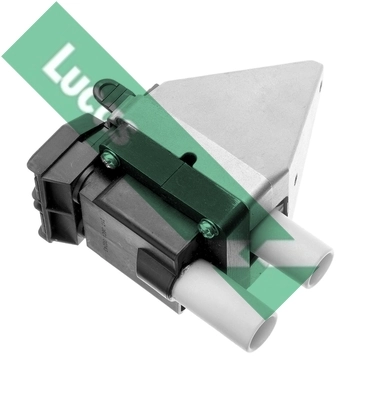 DMB872 Lucas