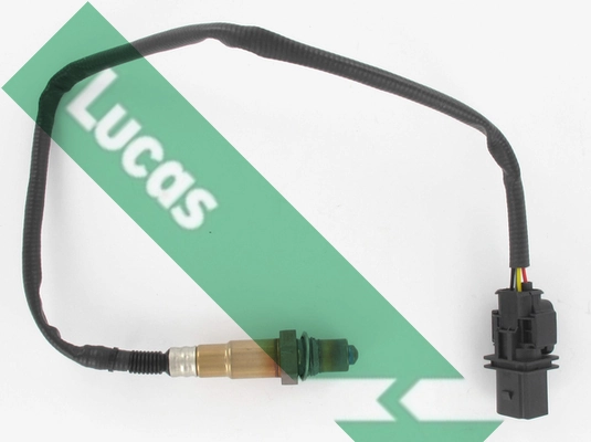 LEB5482 Lucas