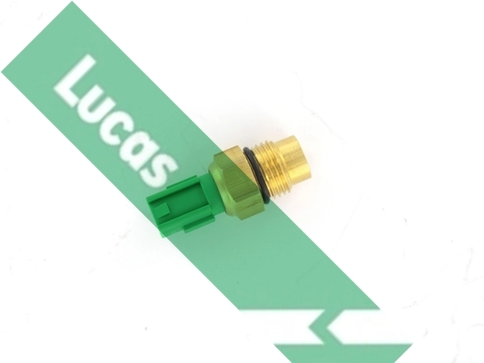 SNB1247 Lucas