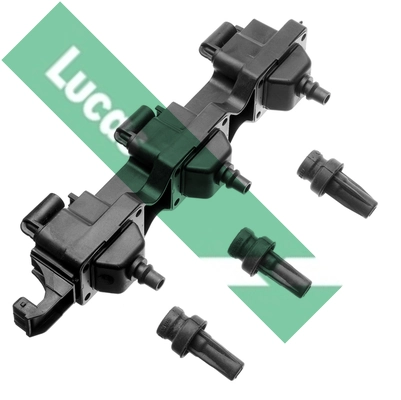 DMB884 Lucas