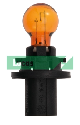 LLB183A Lucas