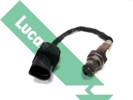 LEB5277 Lucas