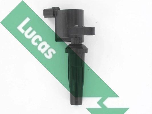 DMB5046 Lucas