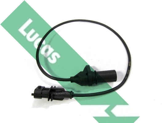 SEB2090 Lucas