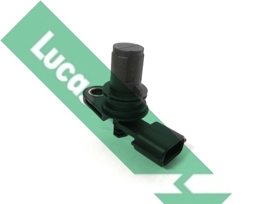 SEB1855 Lucas