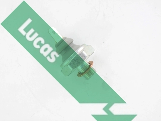 SOB843 Lucas