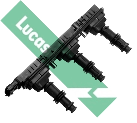 DMB936 Lucas