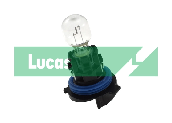 LLB197 Lucas