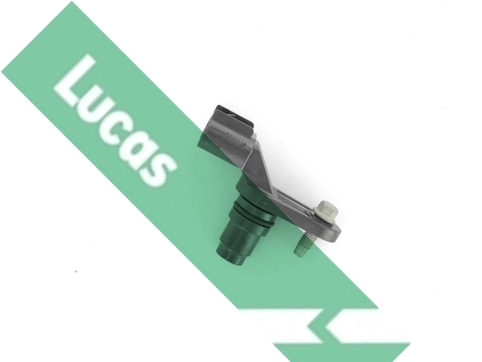 SEB5047 Lucas