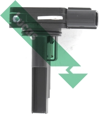 FDM5028 Lucas
