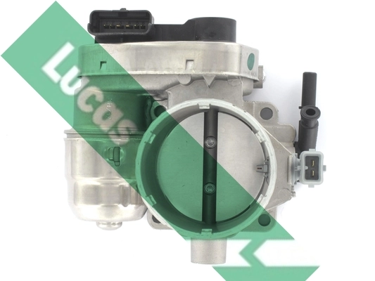 LTH516 Lucas