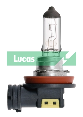 LLB708 Lucas