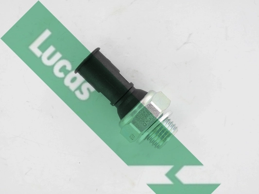 SOB708 Lucas