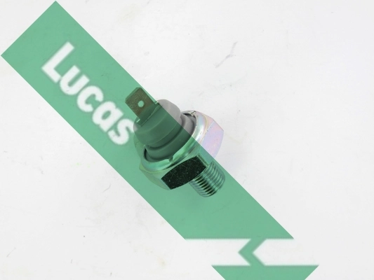 SOB503 Lucas