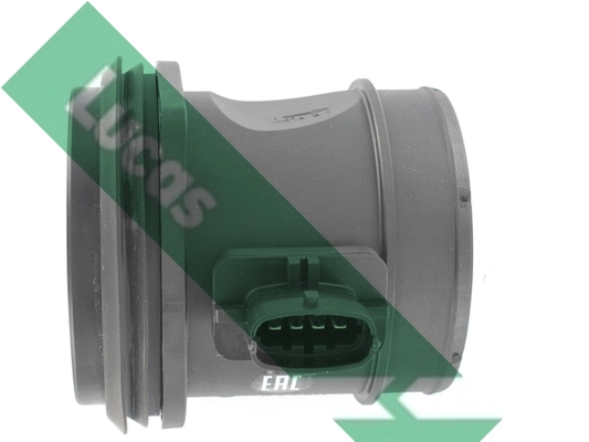 FDM5001 Lucas