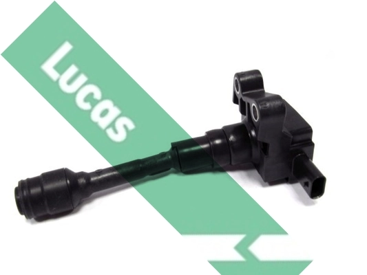 DMB2095 Lucas