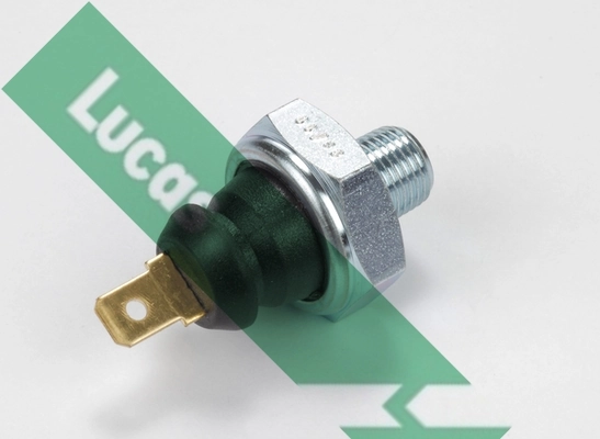 SOB104 Lucas
