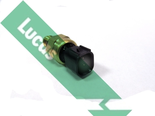SOB7003 Lucas