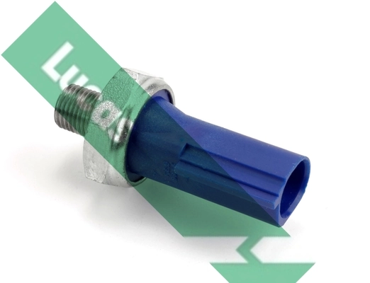 SOB567 Lucas