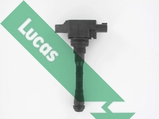 DMB2088 Lucas