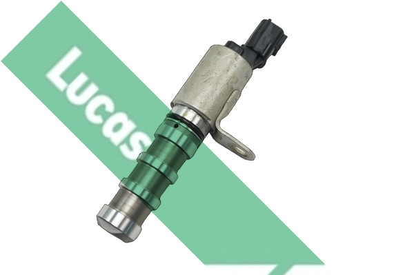 SEB7836 Lucas