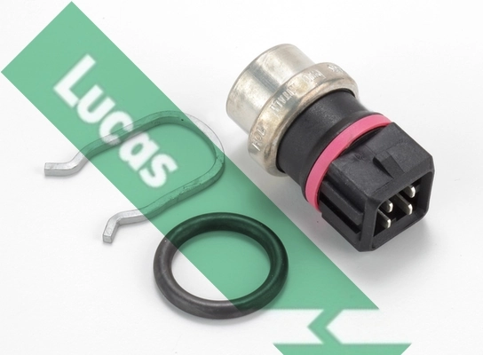 SNB1373 Lucas