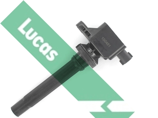 DMB5006 Lucas