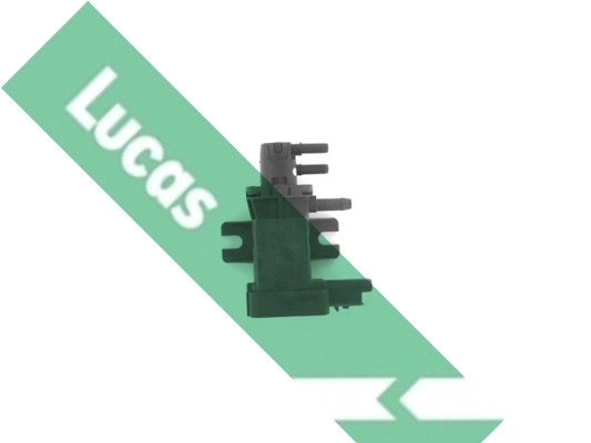 FDR323 Lucas