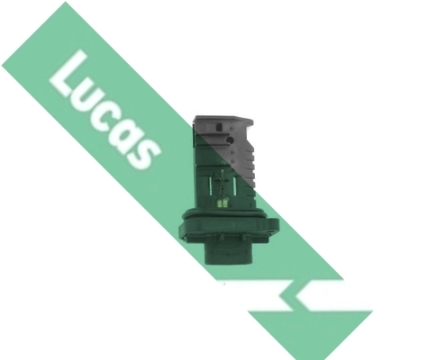 FDM5006 Lucas