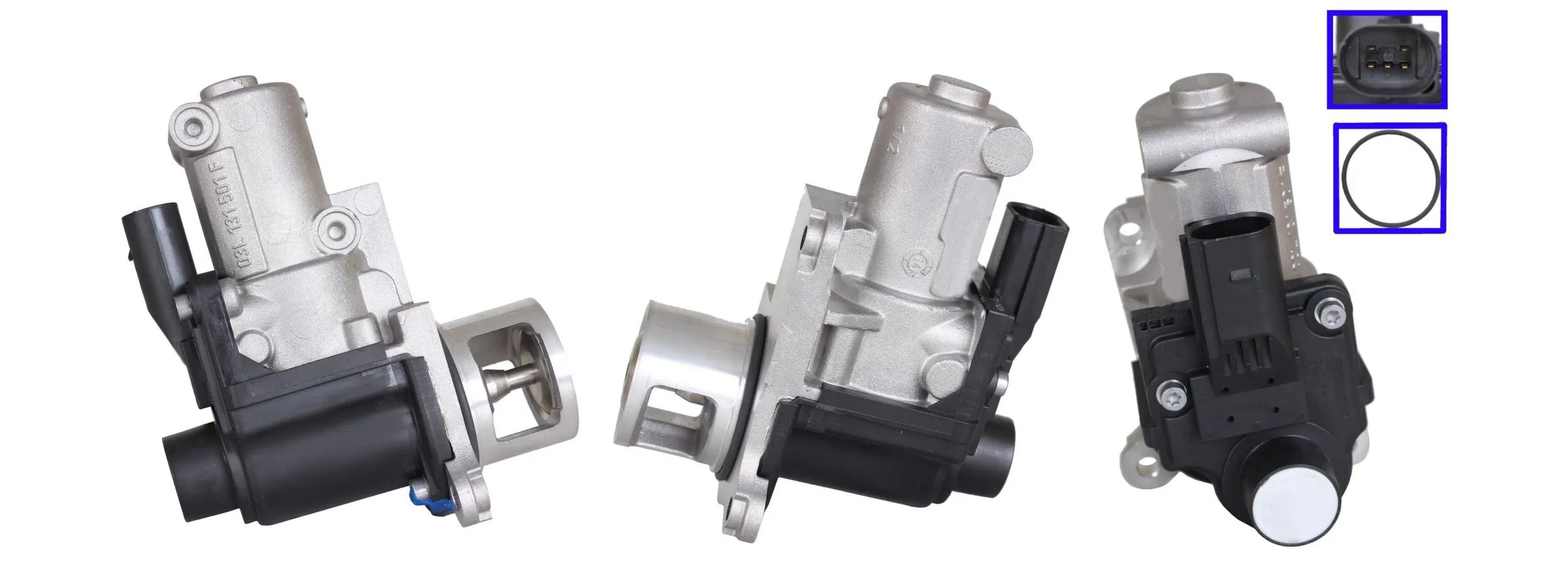 LEV2967 Lucas