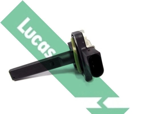 LLS306 Lucas