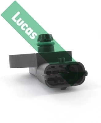 SEB1755 Lucas