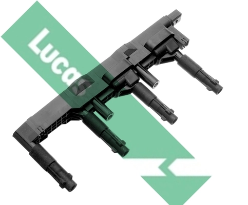 DMB879 Lucas