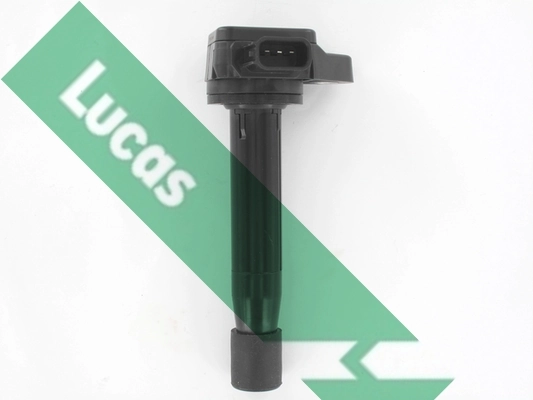 DMB983 Lucas