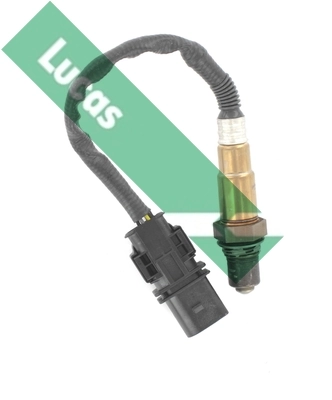 LEB4011 Lucas