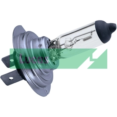 5001851567 Renault (RVI) Lámpara halógena