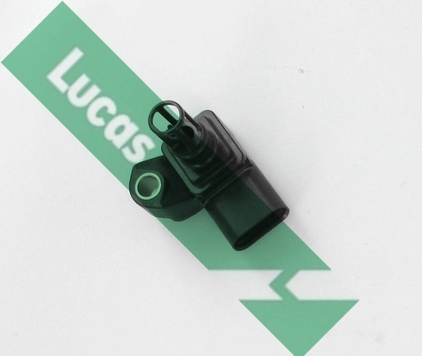 SEB7061 Lucas