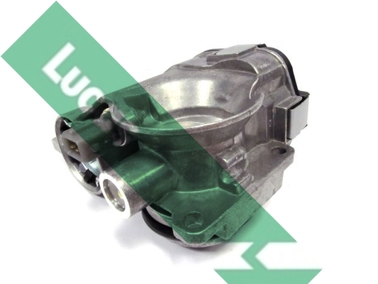 LTH528 Lucas