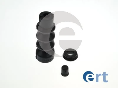 300070 ERT
