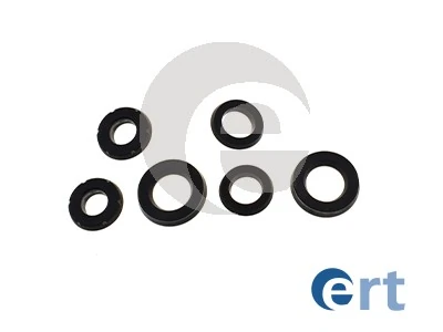 201073 ERT