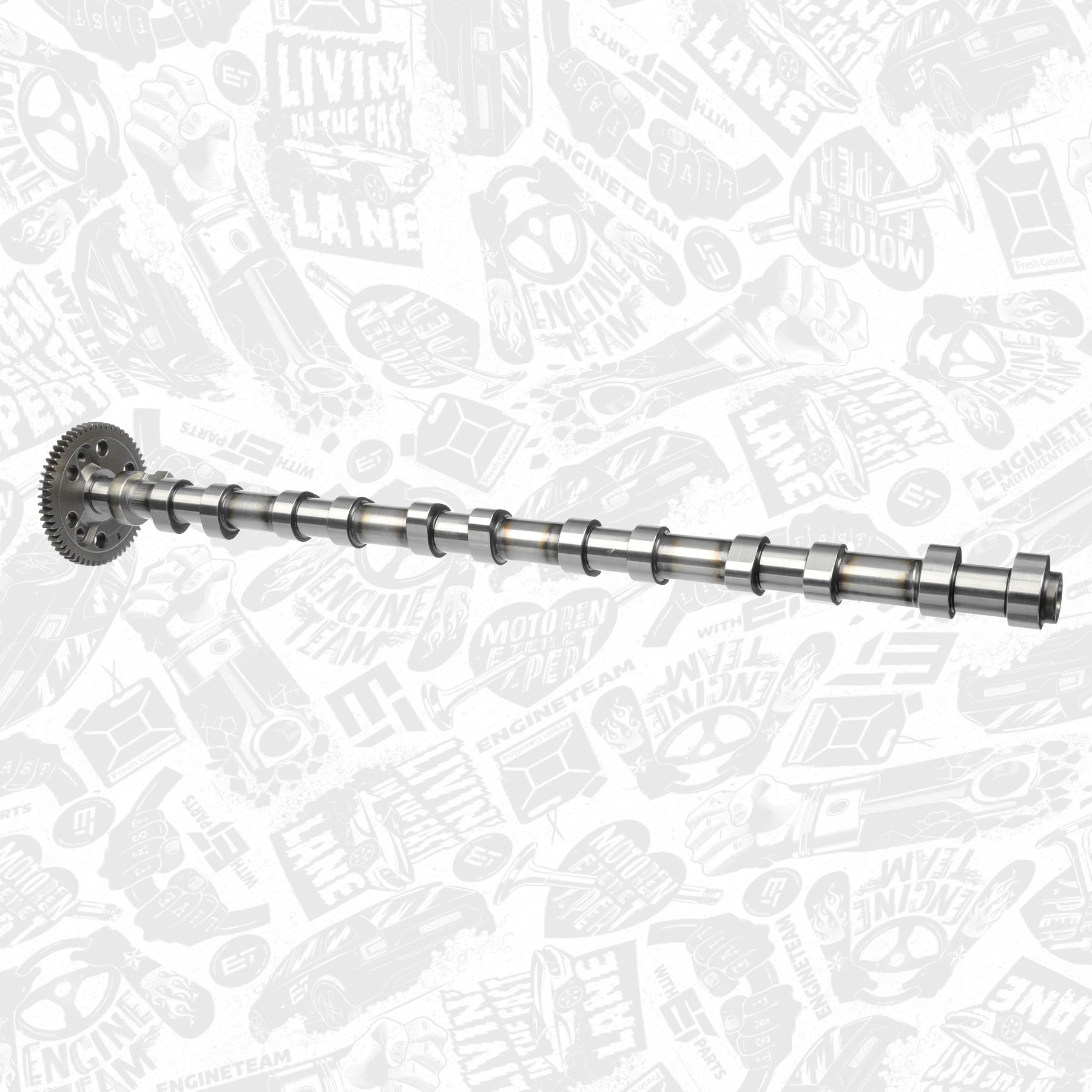 Árboles de levas BMW 3 sedán (E46) (1998 - 2005) precio, desde 269,56 EUR